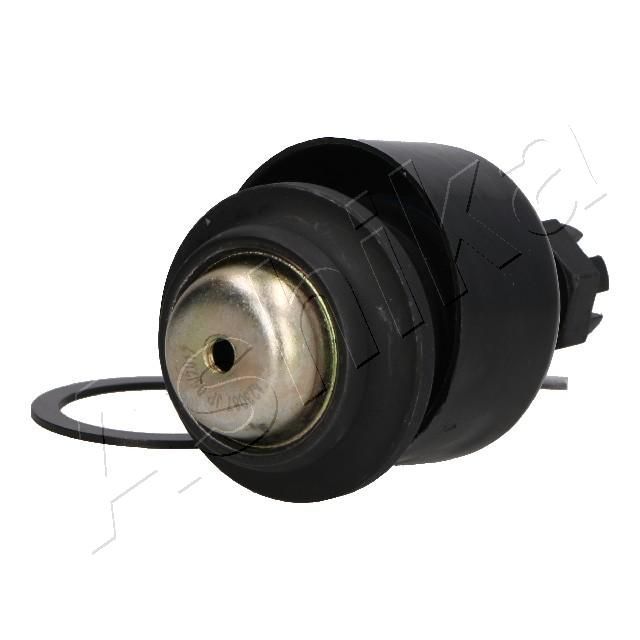 Šarnyras / girgždukas ASHIKA 73-05-508