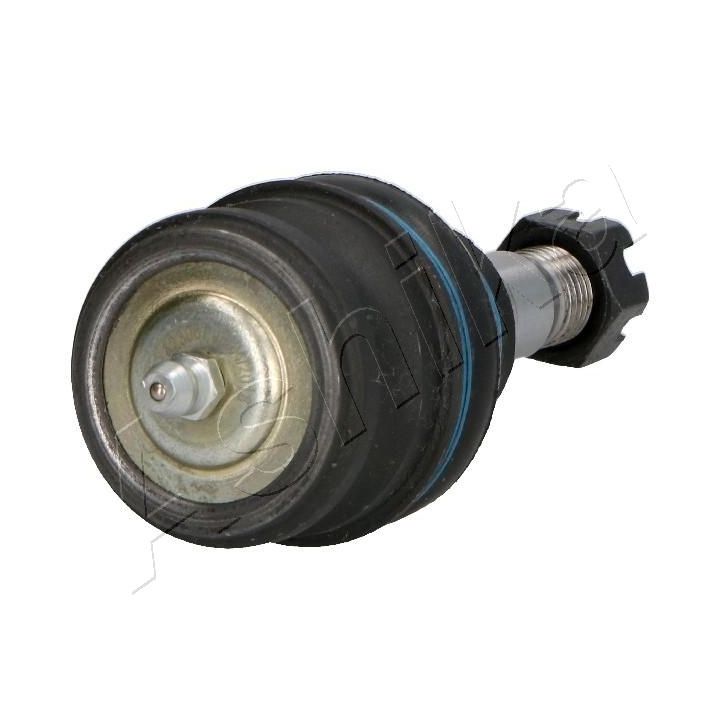 Šarnyras / girgždukas ASHIKA 73-07-799