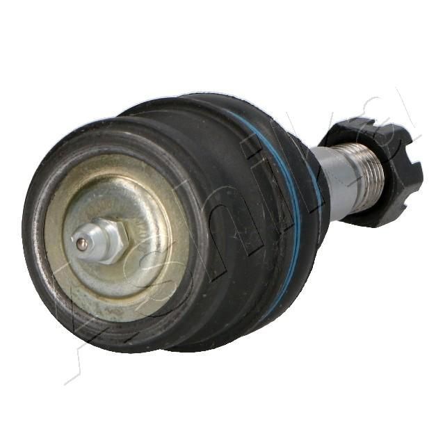 Šarnyras / girgždukas ASHIKA 73-07-799