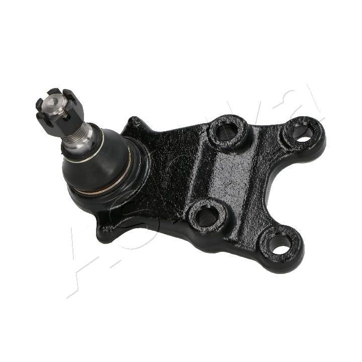 Šarnyras / girgždukas ASHIKA 73-09-911