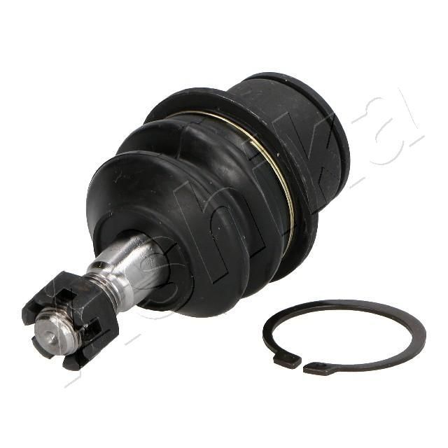 Šarnyras / girgždukas ASHIKA 73-09-919