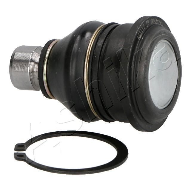 Šarnyras / girgždukas ASHIKA 73-0H-H01