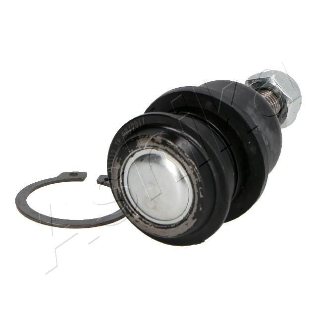 Šarnyras / girgždukas ASHIKA 73-0H-H07