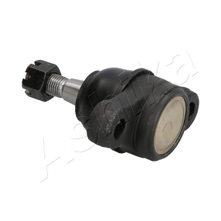 Šarnyras / girgždukas ASHIKA 73-0H-H10