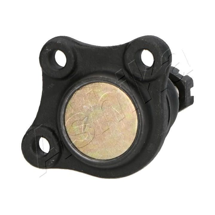 Šarnyras / girgždukas ASHIKA 73-0H-H11