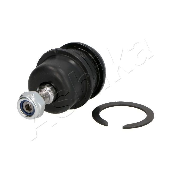 Šarnyras / girgždukas ASHIKA 73-0H-H57