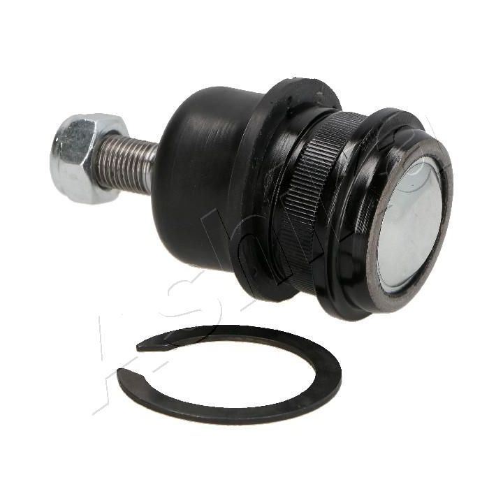 Šarnyras / girgždukas ASHIKA 73-0H-H57