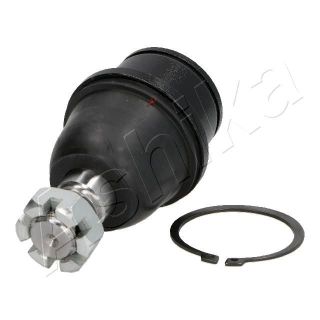 Šarnyras / girgždukas ASHIKA 73-0K-K04