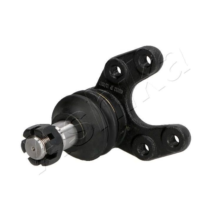 Šarnyras / girgždukas ASHIKA 73-0K-K09