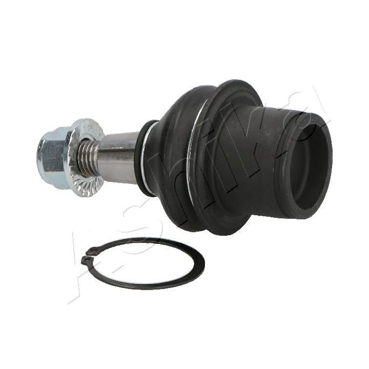 Šarnyras / girgždukas ASHIKA 73-0L-L04