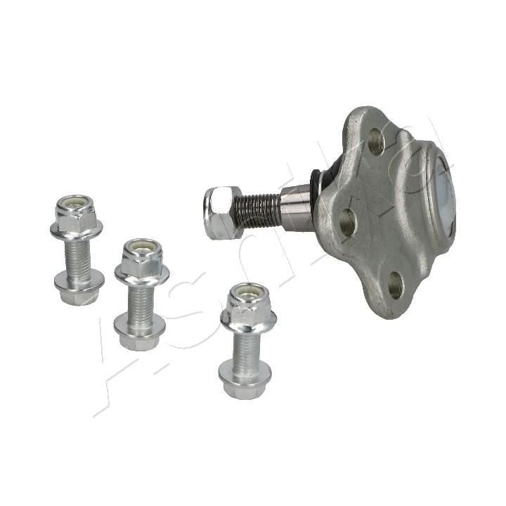 Šarnyras / girgždukas ASHIKA 73-0L-L08