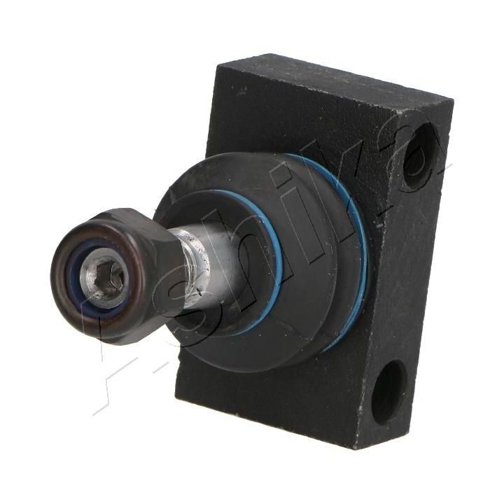 Šarnyras / girgždukas ASHIKA 73-0M-M00