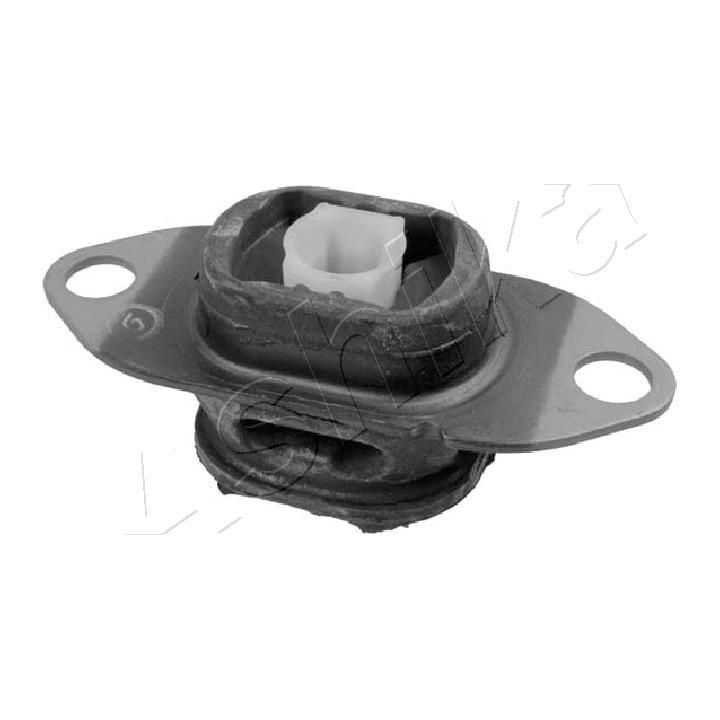 Variklio montavimas ASHIKA GOM-0700