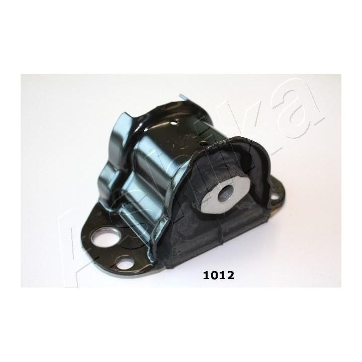 Variklio montavimas ASHIKA GOM-1012