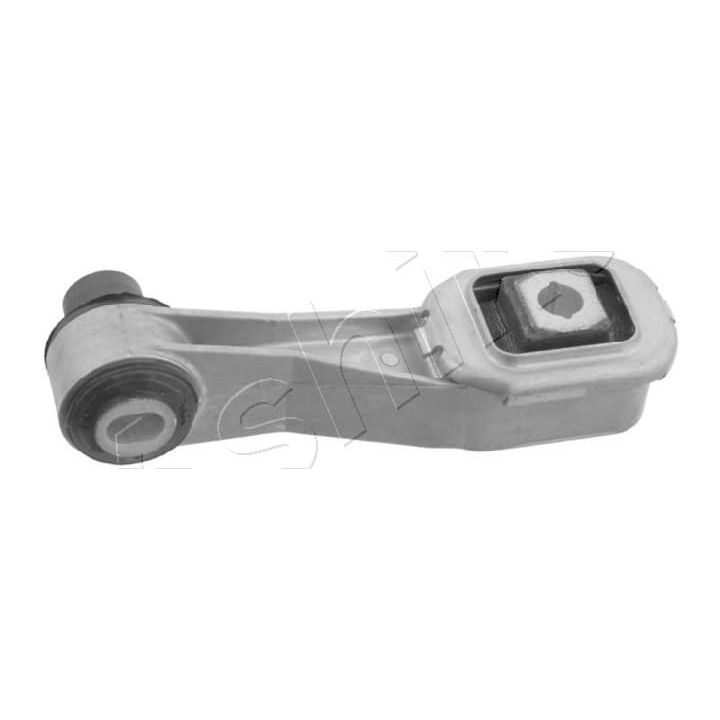 Variklio montavimas ASHIKA GOM-1270