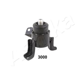 Variklio montavimas ASHIKA GOM-3000