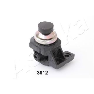 Variklio montavimas ASHIKA GOM-3012