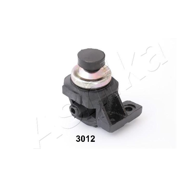 Variklio montavimas ASHIKA GOM-3012