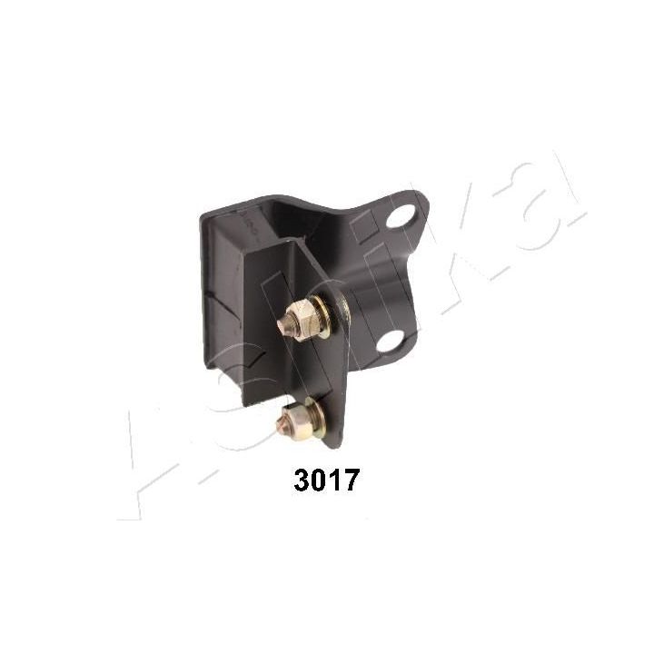 Variklio montavimas ASHIKA GOM-3017