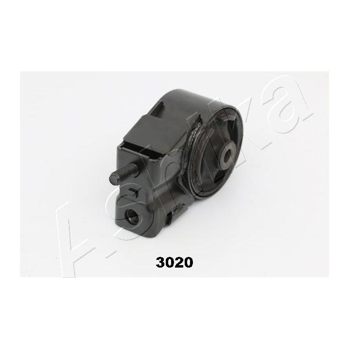 Variklio montavimas ASHIKA GOM-3020