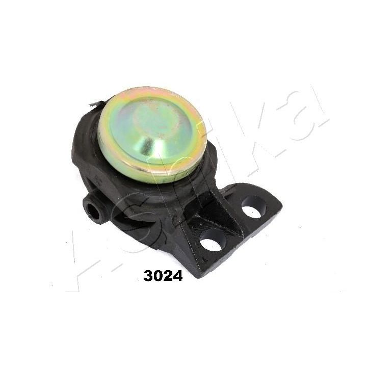 Variklio montavimas ASHIKA GOM-3024