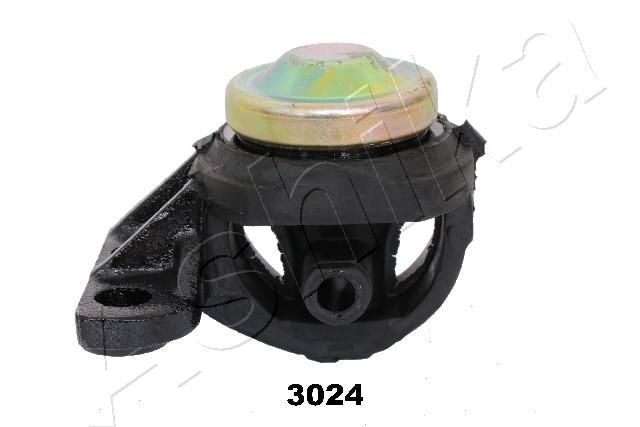 Variklio montavimas ASHIKA GOM-3024