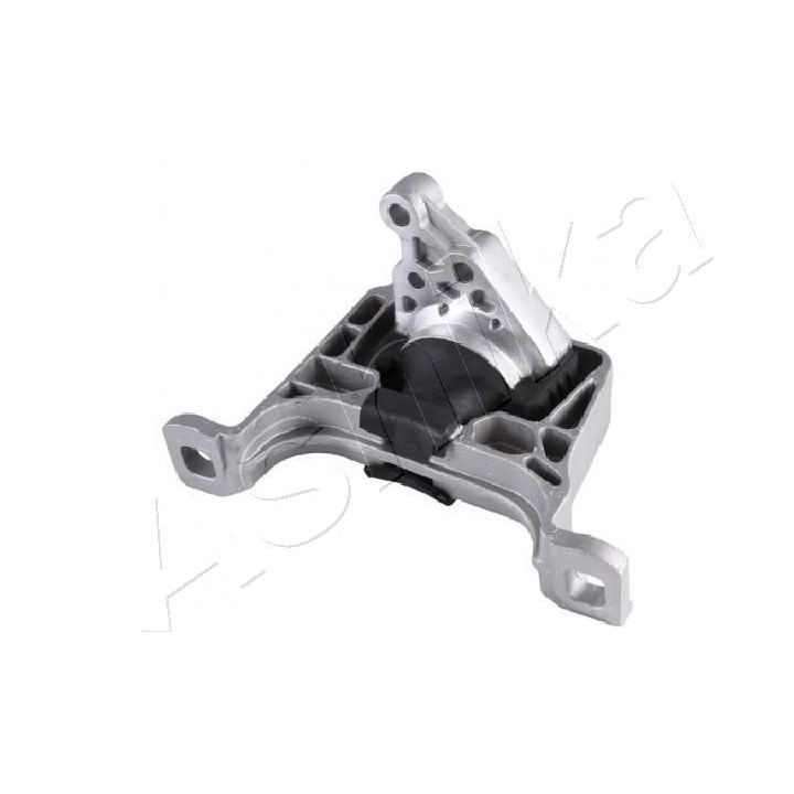 Variklio montavimas ASHIKA GOM-3099