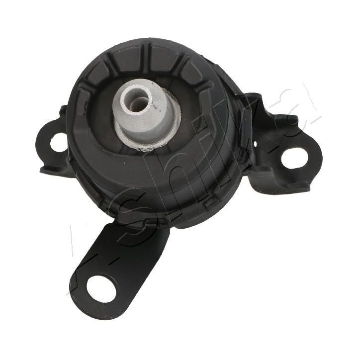 Variklio montavimas ASHIKA GOM-3102