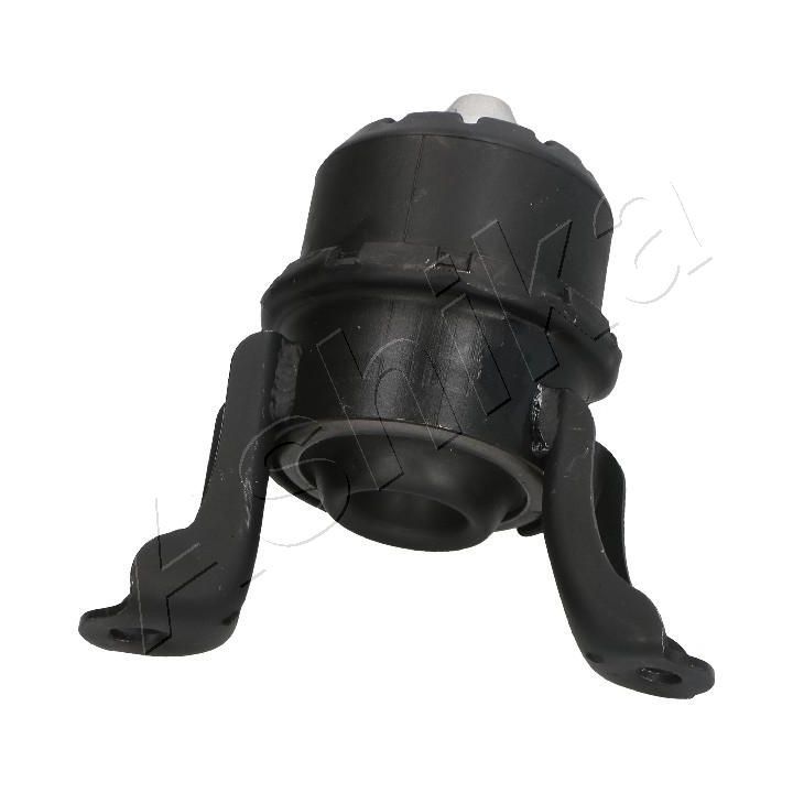 Variklio montavimas ASHIKA GOM-3102