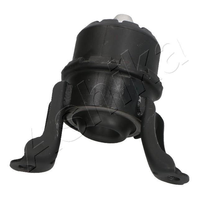 Variklio montavimas ASHIKA GOM-3102