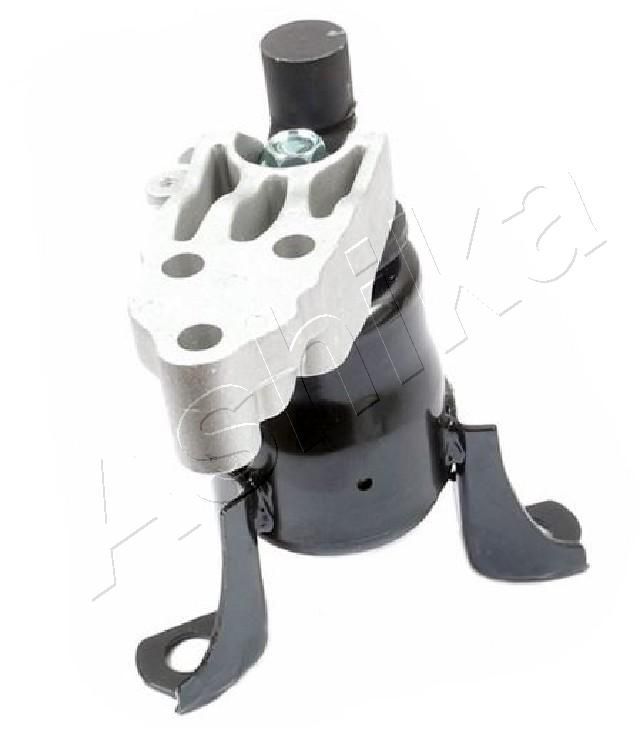 Variklio montavimas ASHIKA GOM-3109