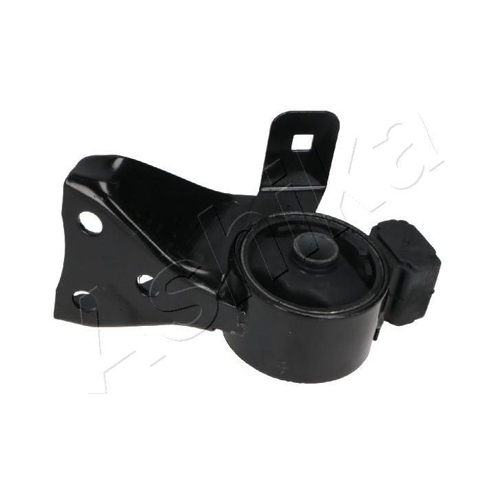 Variklio montavimas ASHIKA GOM-346