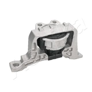 Variklio montavimas ASHIKA GOM-366