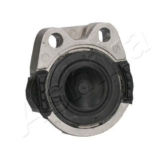 Variklio montavimas ASHIKA GOM-367