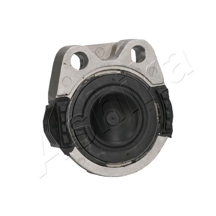 Variklio montavimas ASHIKA GOM-367