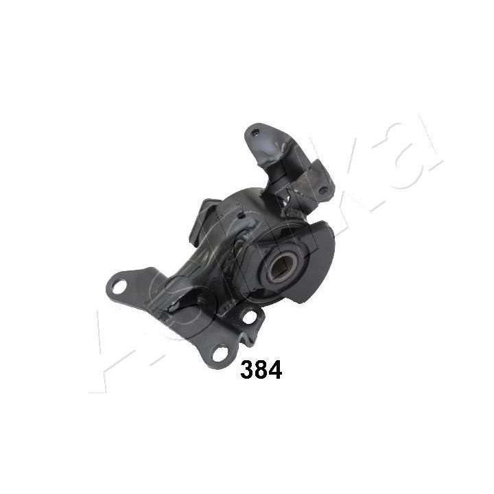 Variklio montavimas ASHIKA GOM-384