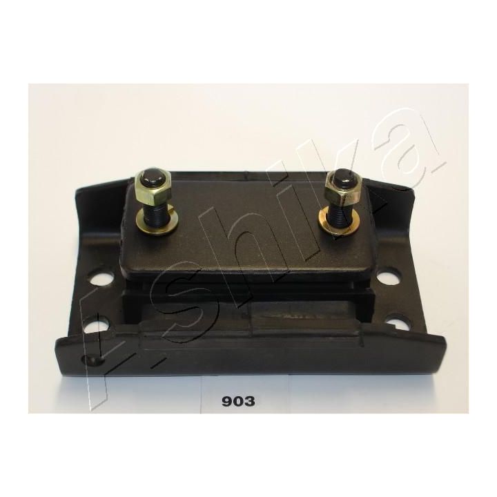 Variklio montavimas ASHIKA GOM-903