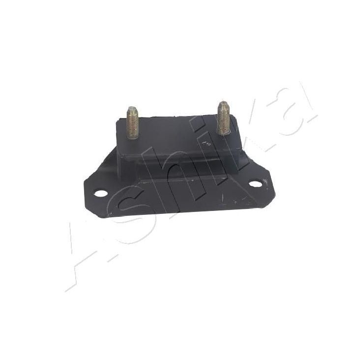 Variklio montavimas ASHIKA GOM-9033