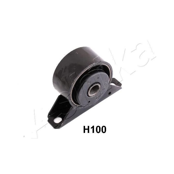 Variklio montavimas ASHIKA GOM-H100