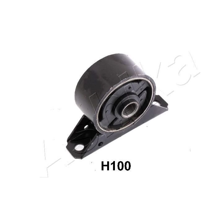 Variklio montavimas ASHIKA GOM-H100