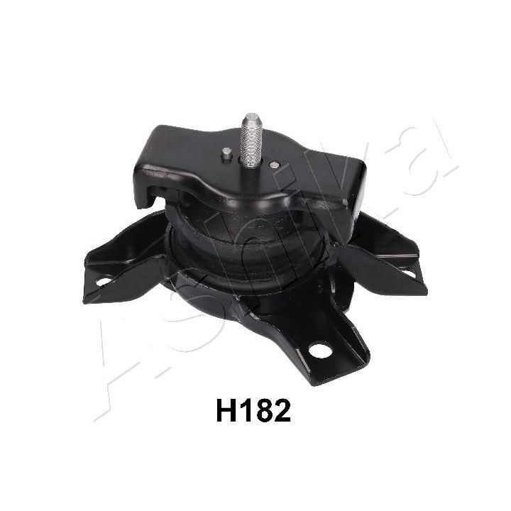 Variklio montavimas ASHIKA GOM-H182