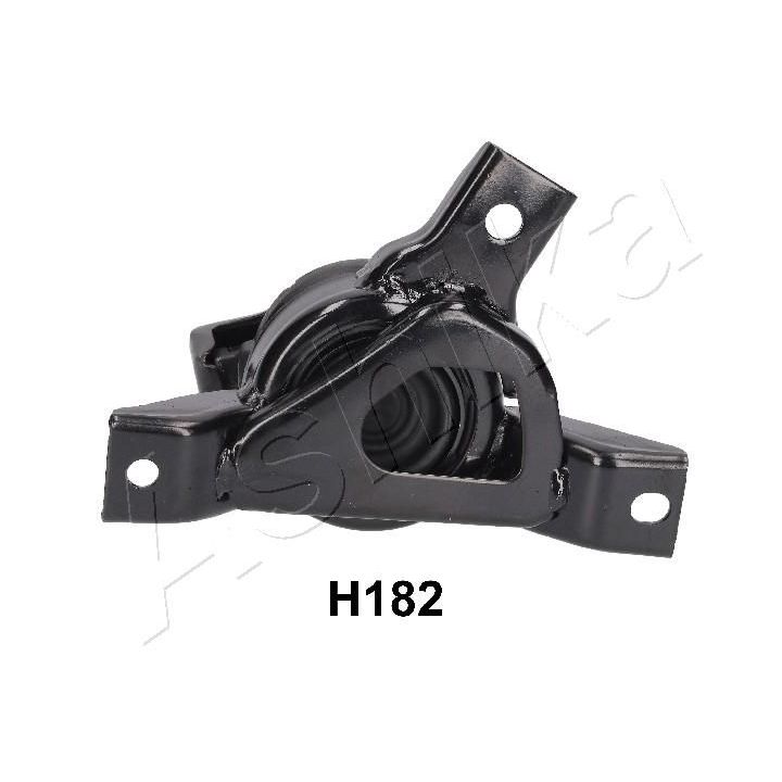 Variklio montavimas ASHIKA GOM-H182