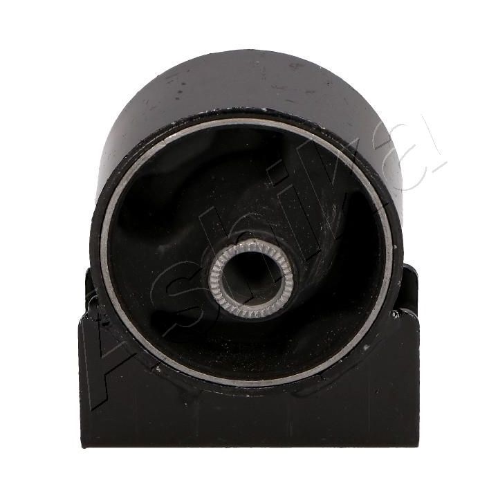 Variklio montavimas ASHIKA GOM-H187