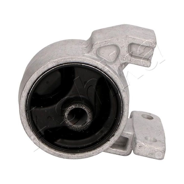 Variklio montavimas ASHIKA GOM-H207