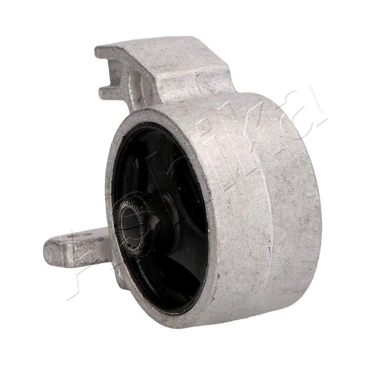 Variklio montavimas ASHIKA GOM-H207