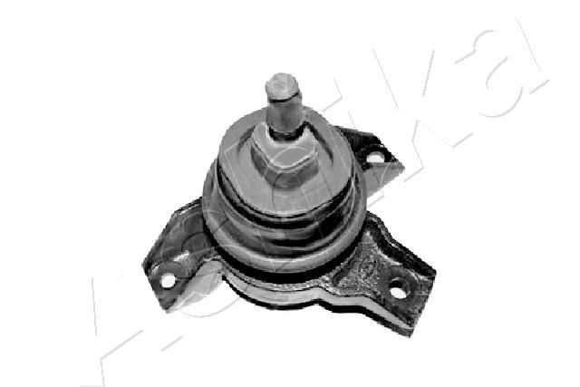 Variklio montavimas ASHIKA GOM-H223