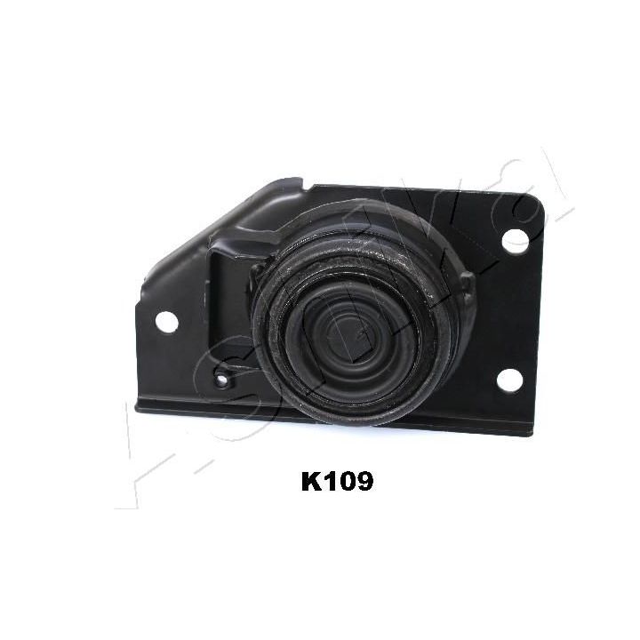 Variklio montavimas ASHIKA GOM-K109