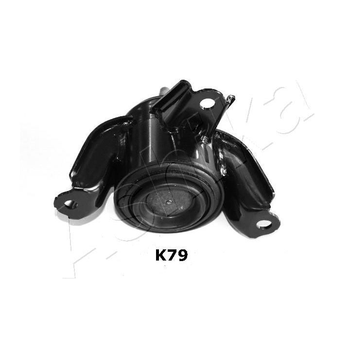 Variklio montavimas ASHIKA GOM-K79