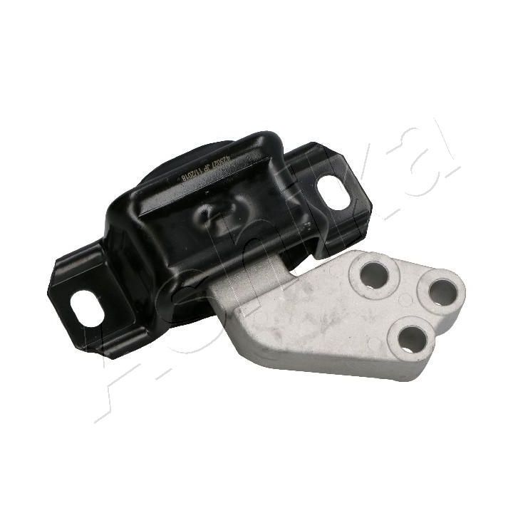 Variklio montavimas ASHIKA GOM-M04