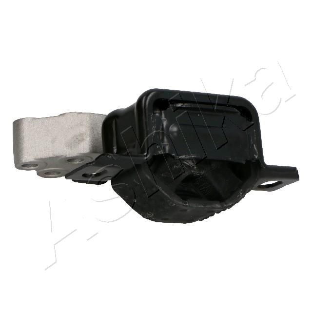 Variklio montavimas ASHIKA GOM-M04